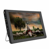 14" 1080P HD Digital Portable Car TV HD TFT LED DVB T2 12V TV Player MP4 Player - The Remote Factory
